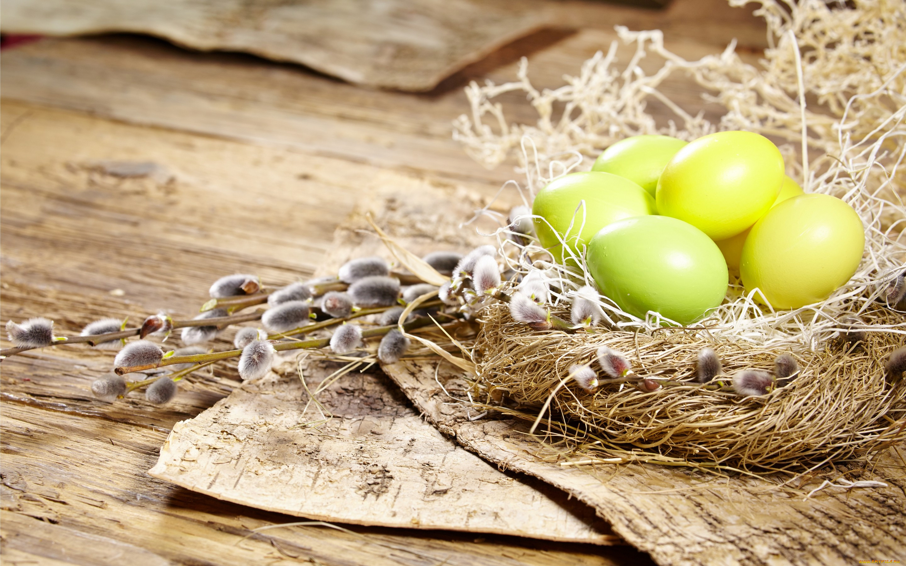 , , flowers, spring, eggs, easter, , , 